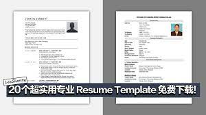 various types of resumes resume template resume templates