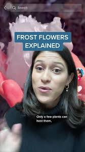 #stitch with @Manon Ward Can’t wait to drop “capillary action” in a  conversation ❄️🌹#frostflowers #scienceiscool #greenscreen #wintersolstice