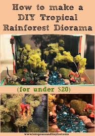 Biome In A Box Tropical Rainforest How To Make A Tropical Rainforest Diorama For Under 20 Diy Science Projects For Kids Rainforest Project Diy Science Projects Science Projects For Kids