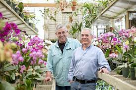 Check spelling or type a new query. For More Than 40 Years Pair Have Tended A Love For Flowers In The Little Greenhouse Baltimore Sun