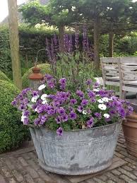 Pin By Christinekraus On Porches Garden Containers Container Gardening Flowers Container Gardening