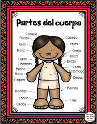 Fabulosos Disenos Para Ensenar Y Aprender Las Partes Del Cuerpo Para Preesc Partes Del Cuerpo Preescolar Actividades Del Cuerpo Humano Cuerpo Humano Para Ninos