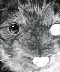 We did not find results for: How To Draw And Render Realistic Fur With Pencils And Charcoal