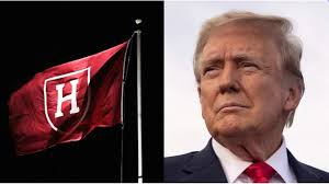 Ann Humphrey takes lead role in Bemidji State's Indigenous sustainability  studies program