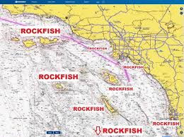Its Rockfish Time Socal Fishing Report Bdoutdoors