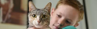 Roaming animals pose a real problem in many parts of the country. San Antonio Humane Society