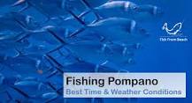 What is the best month to catch pompano in Florida?