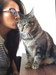 Sundays With Tabs the Cat, Makeup and Beauty Blog Mascot, Vol. 553