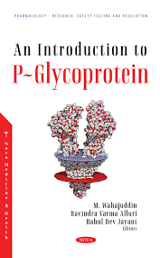 Image result for P-Glycoprotein