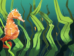 While many male animals simply deposit their. Curious Kids Is It True That Male Seahorses Give Birth