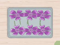 › freeze dried flowers wholesale. Easy Ways To Freeze Dry Flowers 15 Steps With Pictures