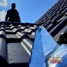 Dachreparatur In Bunde Mai 2019 Dachreparatur Dachdecker Dach