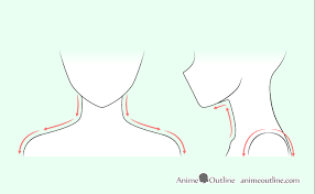 How To Draw Anime Neck Shoulders Animeoutline How to paint realistic hair in adobe photoshop: how to draw anime neck shoulders