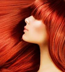 You can see how to get to hair paradise salon on our website. Salon Shear Paradise Salon Hair Nails Tanning