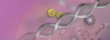 Mrsa is any strain of s. New Rida Gene Mrsa Multiplex Real Time Pcr En Clinical Diagnostics