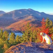 Adirondack Fall Foliage Reports And Fall Activities For All