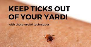 Spray a tick pesticide to the lawn to kill surface ticks that are on your blades of grass. How To Keep Ticks Out Of Your Yard And Garden Gardening Channel