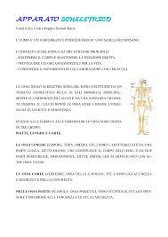Gli effetti della corrente elettrica sul corpo umano: Gli Apparati Del Corpo Umano Scuola News