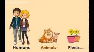 A habitat includes all living and nonliving factors or conditions of the surrounding environment. What Is A Habitat Science Video For Kids Youtube