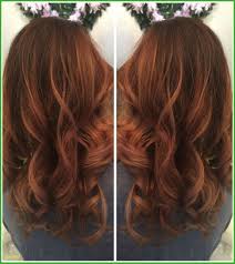 hairstyles chestnut brown hair color chart exceptional