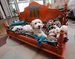 This Was Our First Bed Made From A Vintage Coffee Table Made For Hefner Isn T He Adorable All Our Beds Are Feli Diy Dog Bed Dog Beds Homemade Pet Beds