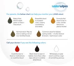 Image result for Newborn Stool Color