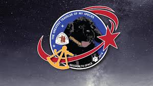 Image result for Science Technology Space NASA Explorers Program