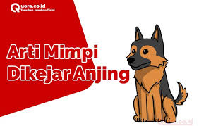 Mimpi meminta maaf kepada orang tua. Arti Mimpi Dikejar Anjing Menurut Islam Dan Primbon Quora