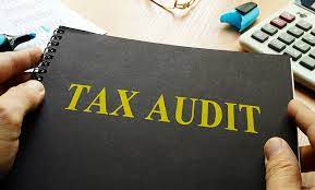 What do you mean by tax audit?