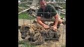 Here you can see the latest view from one live webcam in the destination of oliver, canada. Johari Oliver Giraffe Cam Animal Adventure Park Youtube