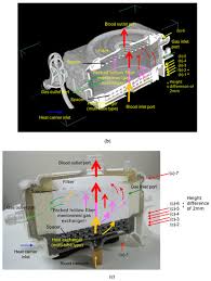 Check out the pronunciation, synonyms and grammar. Membranes Free Full Text Newly Developed Pediatric Membrane Oxygenator That Suppresses Excessive Pressure Drop In Cardiopulmonary Bypass And Extracorporeal Membrane Oxygenation Ecmo Html