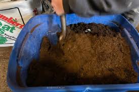 Button mushroom cultivation has two major components, composting (preparation of substrate/compost), and the crop management, (raising of mushroom crop). Homemade Potting Mix How To Make Your Own Potting Soil