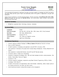 praveen_4years dot net resume