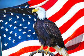 If you are interested, click this link. American Eagle Pictures Download Free Images On Unsplash
