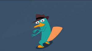 (spoiler alert!) this pic is from the movie across the 2nd dimension and perry saw phineas and ferb curse you perry the platypus!!!! Perry The Platypus Meme Gif
