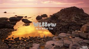 Christian Baby Girl Name Willow Meanings Religion Origin Details Willow is a girl's name of english origin meaning willow tree. kidpaw