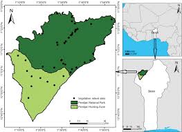 Image result for Euclasta condylotricha