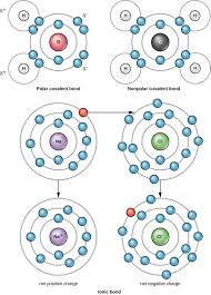 Describe oxygen model in isotopes? Fundamentals Of Physics And Chemistry Important To Microbiology Microbiology