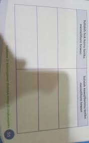 Tulislah Hak Dan Kewajiban Kamu Ketikamemelihara Hewan Brainly Co Id
