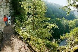 Der Schluchtensteig Im Schwarzwald Sieben Schluchten Ein Weg Reisen Schone Orte Schwarzwald Urlaub
