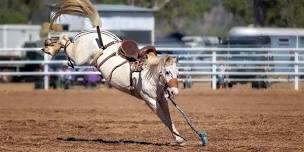 Willies Cattle Co. Open Junior Rodeo