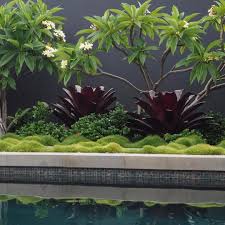 Pin By Shirli Pearson On Garden Eden Balinese Garden