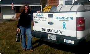 Our pest control treatment is applied with pinpoint precision using methods based on pest behavior, habitats, and life cycles in roanoke va and surrounding areas. Pest Control Exterminator In Roanoke Va Cheryl S Pest Defense Llc