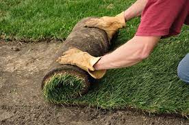 For more information, read when to water newly installed sod. Premium Sod Installation Ryno Lawn Care Llc