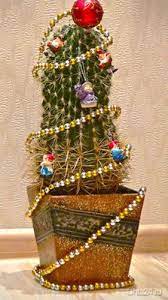 The christmas cactus can be propagated either way. Cacti Adding Desert Vibe To Alternative Christmas Tree Decorating