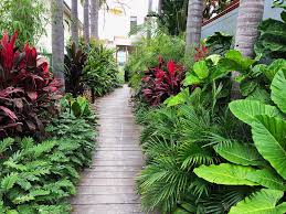 Landscape Design And Construction At Maroubra By Bamboo South Coast Tropical Landscape Design Tropical Garden Design Tropical Garden