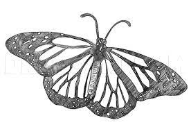 Butterfly drawing is considered as very easy task. How To Draw A Realistic Butterfly Draw Real Butterfly Step By Step Drawing Guide By Dawn Dragoart Com