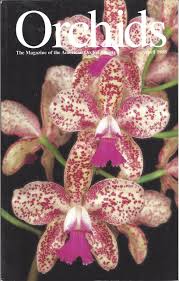 His ads have been seen continuously for about 15 years in pages of the bulletin of the american orchid society, now orchids. Orchids Magazine The Bulletin Of The American Orchid Society Orchids Of Vietnam Phaius Tankervilliae Remembering Don Wimber Orchid Portrait Cypripedium Palangshanense Corsage Craft Vol 67 No 4 April 1998 Dick Cavender