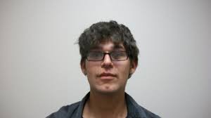 Police: Man arrested for 13 vandalism incidents