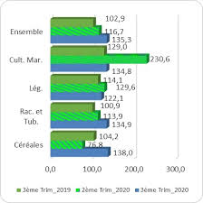 Insae Actualites